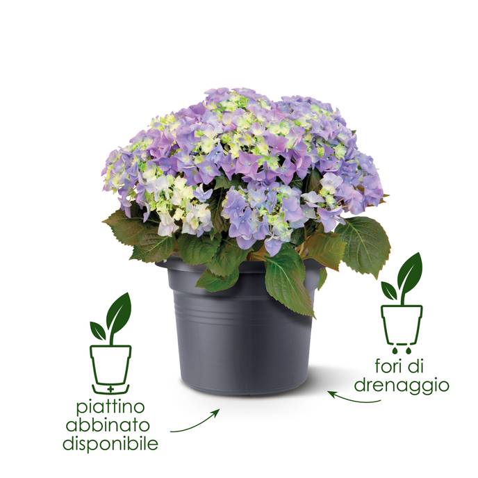 green basics cilinder 30cm living black